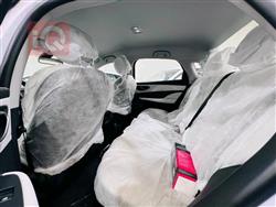 بي واي دي سيل 05 DM-i